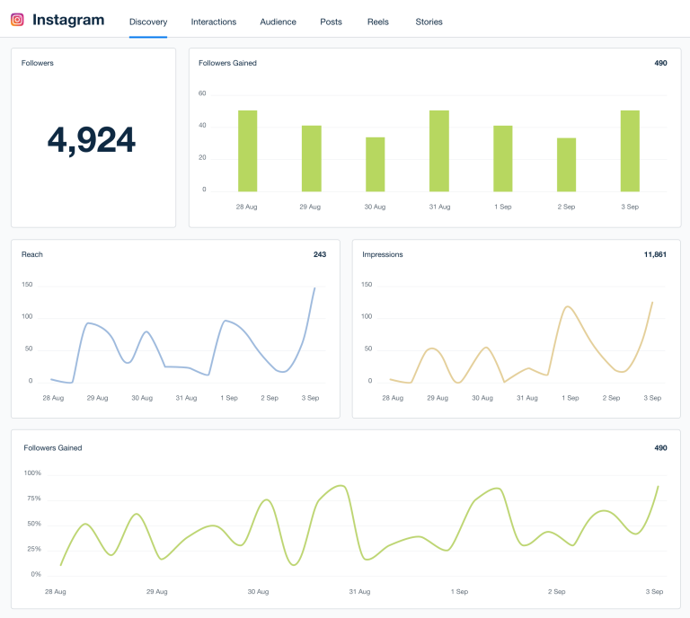 Instagram-Dashboard-Template-Example